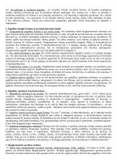 Socialinio darbo teorija egzaminui 3 puslapis