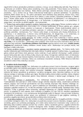 Socialinio darbo teorija egzaminui 4 puslapis