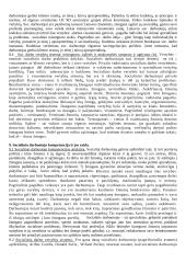 Socialinio darbo teorija egzaminui 5 puslapis