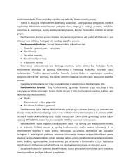 Socialinis darbas bendruomenėje 2 puslapis