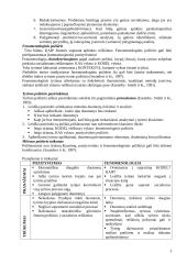 Socialinių tyrimų metodologija 3 puslapis