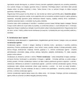 Socializacijos samprata ir reikšmė 5 puslapis