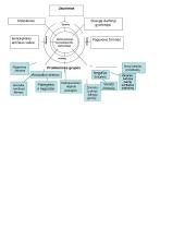 Socioedukacinės veiklos metodologiniai aspektai 8 puslapis