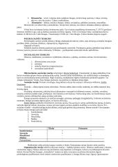 Įvadas į sociologiją 14 puslapis