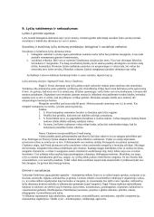 Įvadas į sociologiją 16 puslapis