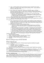 Įvadas į sociologiją 19 puslapis