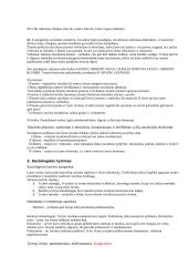 Įvadas į sociologiją 4 puslapis