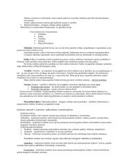 Įvadas į sociologiją 7 puslapis