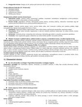 Sociologijos įvadas 17 puslapis