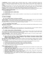 Sociologijos įvadas 20 puslapis