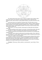 Specialiųjų  nuolatinės srovės mašinų valdymas 7 puslapis