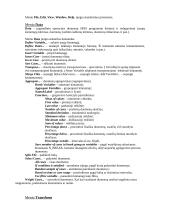 SPSS duomenų lentelė 2 puslapis