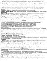 Statybinė medžiagotyra 2 puslapis