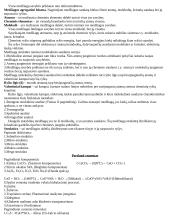 Statybinė medžiagotyra 4 puslapis