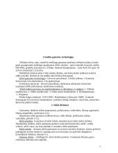 Statybinės medžiagos. Teorija 2 puslapis