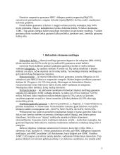 Statybinės medžiagos. Teorija 5 puslapis