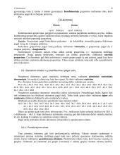 Detali statistikos teorija 19 puslapis