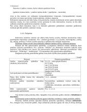 Detali statistikos teorija 5 puslapis