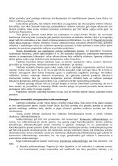 Strateginiai aljansai tarptautiniame versle. Strateginių aljansų tipai ir pagrindiniai bruožai 6 puslapis