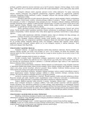 Išsami strateginio valdymo teorija egzaminui 2 puslapis