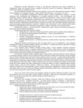 Išsami strateginio valdymo teorija egzaminui 11 puslapis