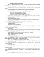 Išsami strateginio valdymo teorija egzaminui 12 puslapis