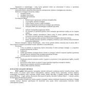 Išsami strateginio valdymo teorija egzaminui 13 puslapis