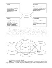 Išsami strateginio valdymo teorija egzaminui 14 puslapis