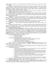 Išsami strateginio valdymo teorija egzaminui 15 puslapis