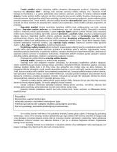 Išsami strateginio valdymo teorija egzaminui 16 puslapis