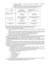 Išsami strateginio valdymo teorija egzaminui 18 puslapis