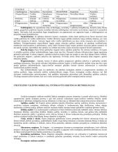 Išsami strateginio valdymo teorija egzaminui 19 puslapis