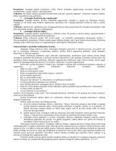 Išsami strateginio valdymo teorija egzaminui 3 puslapis