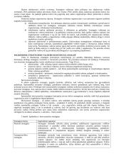 Išsami strateginio valdymo teorija egzaminui 4 puslapis