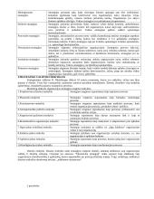 Išsami strateginio valdymo teorija egzaminui 5 puslapis