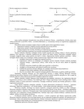Išsami strateginio valdymo teorija egzaminui 6 puslapis