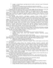 Išsami strateginio valdymo teorija egzaminui 7 puslapis