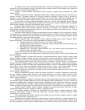 Išsami strateginio valdymo teorija egzaminui 8 puslapis