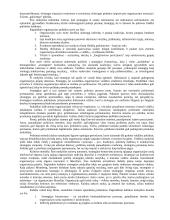 Išsami strateginio valdymo teorija egzaminui 9 puslapis