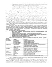 Išsami strateginio valdymo teorija egzaminui 10 puslapis