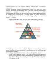 Sveikos mitybos principai bei taisyklės  3 puslapis