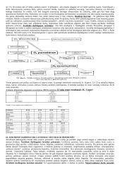 Sveikata ir reabilitacija 12 puslapis