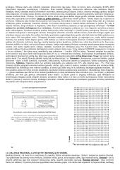 Sveikata ir reabilitacija 13 puslapis