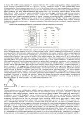 Sveikata ir reabilitacija 6 puslapis