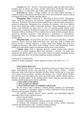 Šeimos pedagogika ir šeimos raida 2 puslapis