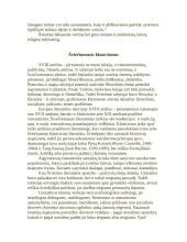 Tikėjimas proto šviesa 2 puslapis