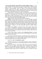 Tarptautinė ekonomika. Paskaitų teorija 19 puslapis