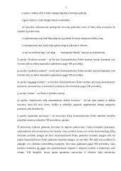 Tarptautinė prekyba ir pervežimai 2 puslapis