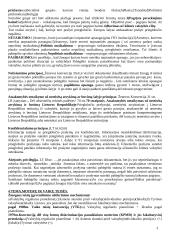 Tarptautinė žmogaus teisių apsauga 3 puslapis