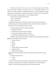 Tarptautinės prekybos organizavimas 14 puslapis